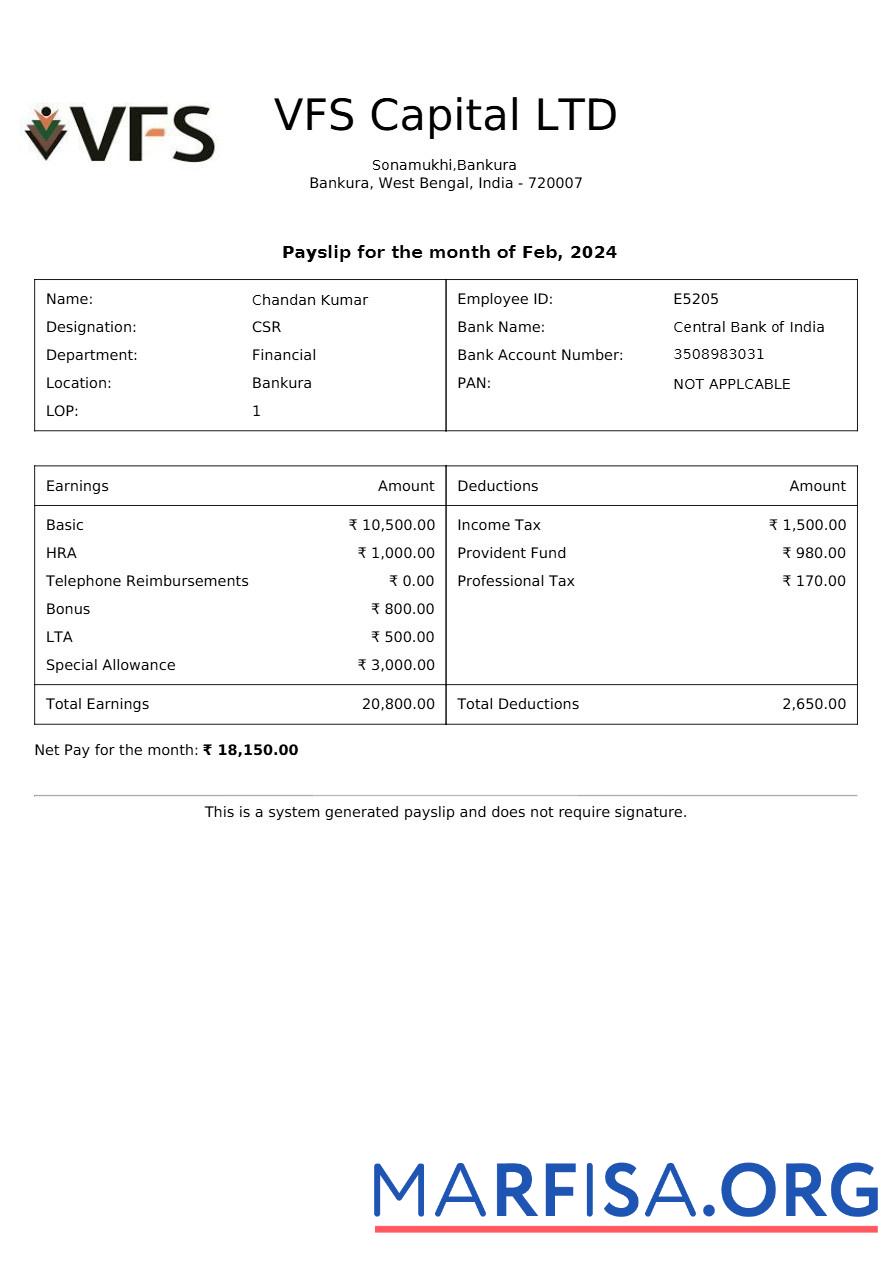 Blank VFS Capital payslip sample